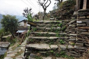 trekking from Pokhara to ghandruk